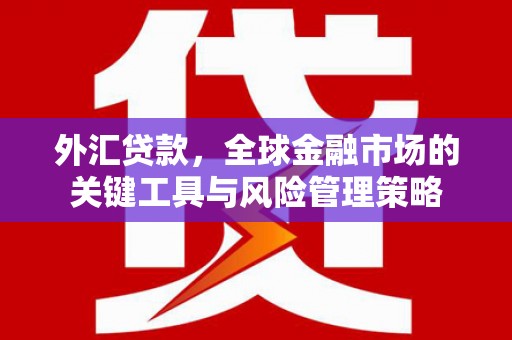 玉门外汇贷款，全球金融市场的关键工具与风险管理策略