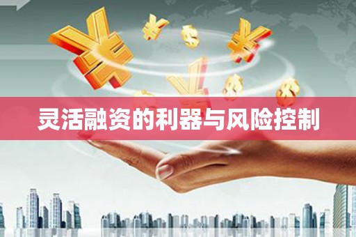 玉门灵活融资的利器与风险控制