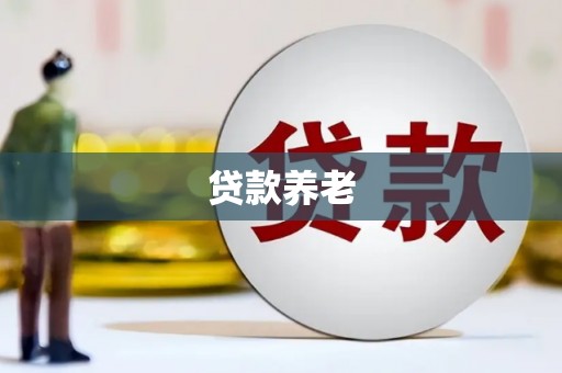 玉门贷款养老