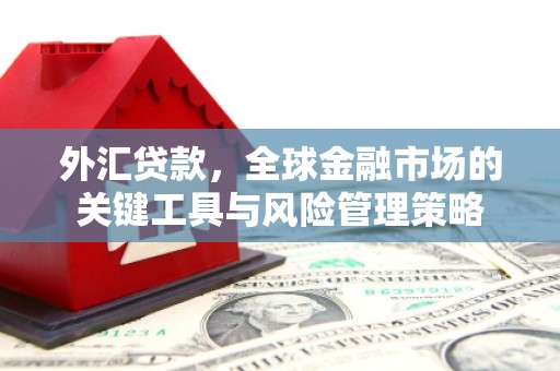 玉门外汇贷款，全球金融市场的关键工具与风险管理策略