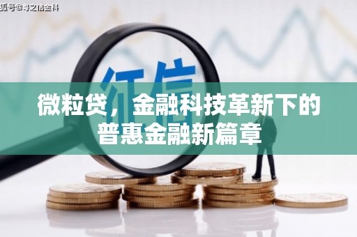 玉门微粒贷，金融科技革新下的普惠金融新篇章
