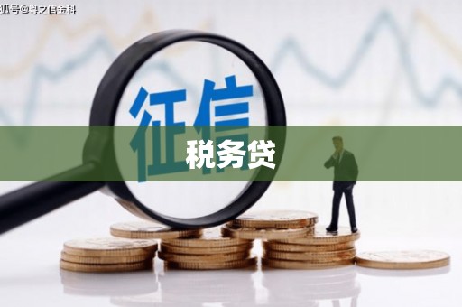 玉门税务贷