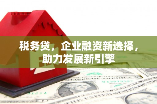 玉门税务贷，企业融资新选择，助力发展新引擎