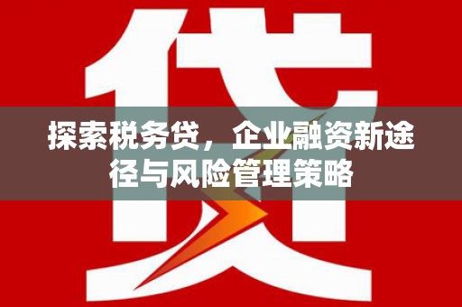 玉门探索税务贷，企业融资新途径与风险管理策略
