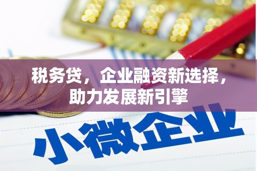 玉门税务贷，企业融资新选择，助力发展新引擎