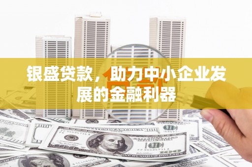 玉门银盛贷款，助力中小企业发展的金融利器