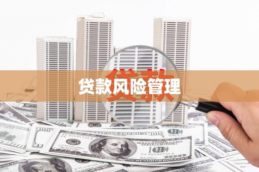 玉门贷款风险管理