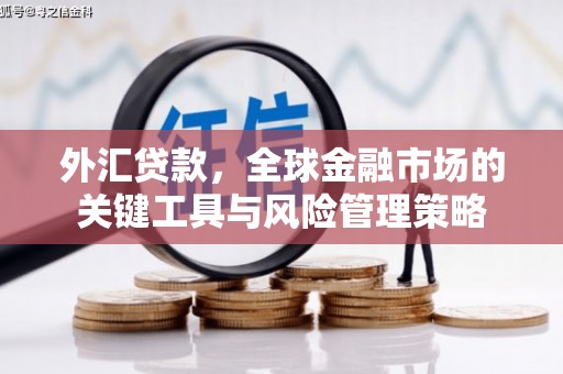 玉门外汇贷款，全球金融市场的关键工具与风险管理策略