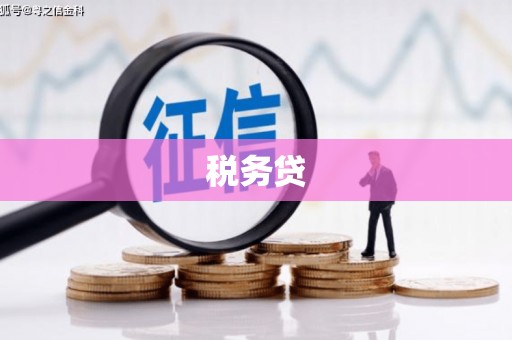 玉门税务贷
