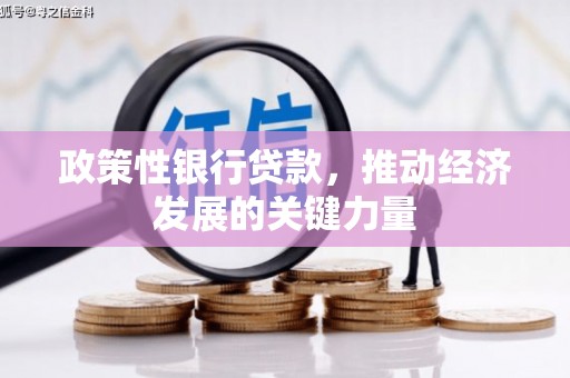 玉门政策性银行贷款，推动经济发展的关键力量