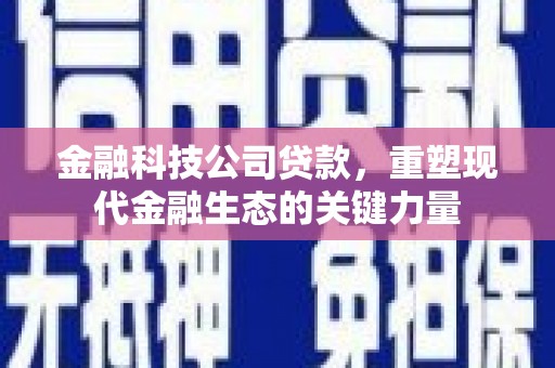 玉门金融科技公司贷款，重塑现代金融生态的关键力量