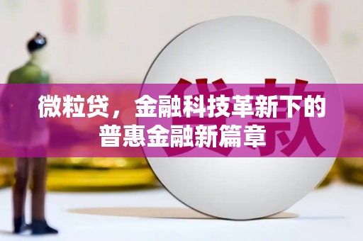 玉门微粒贷，金融科技革新下的普惠金融新篇章