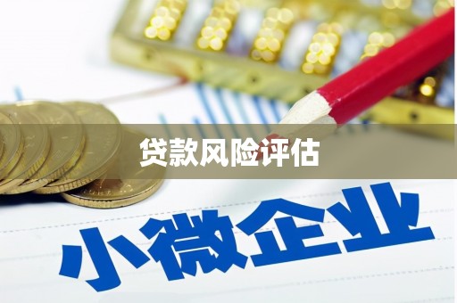 玉门贷款风险评估