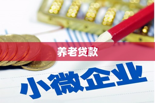 玉门养老贷款