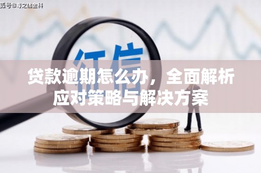 玉门贷款逾期怎么办，全面解析应对策略与解决方案