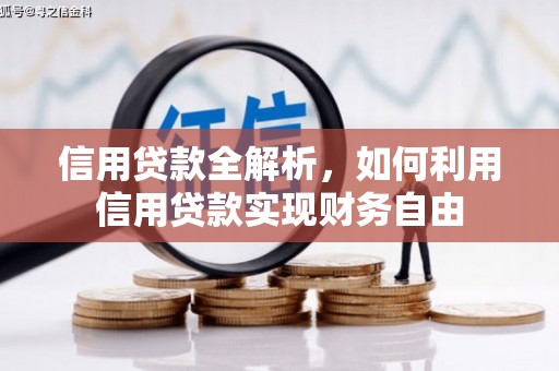 玉门信用贷款全解析，如何利用信用贷款实现财务自由